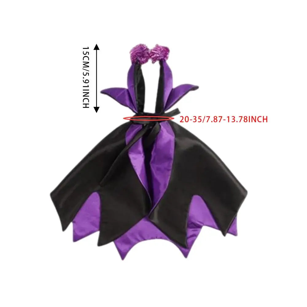 Halloween costume for dogs and cats: magical, funny and endearing