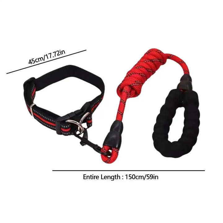 Reflective dog collar – For walks even in the shade