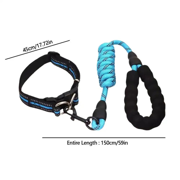 Reflective dog collar – For walks even in the shade