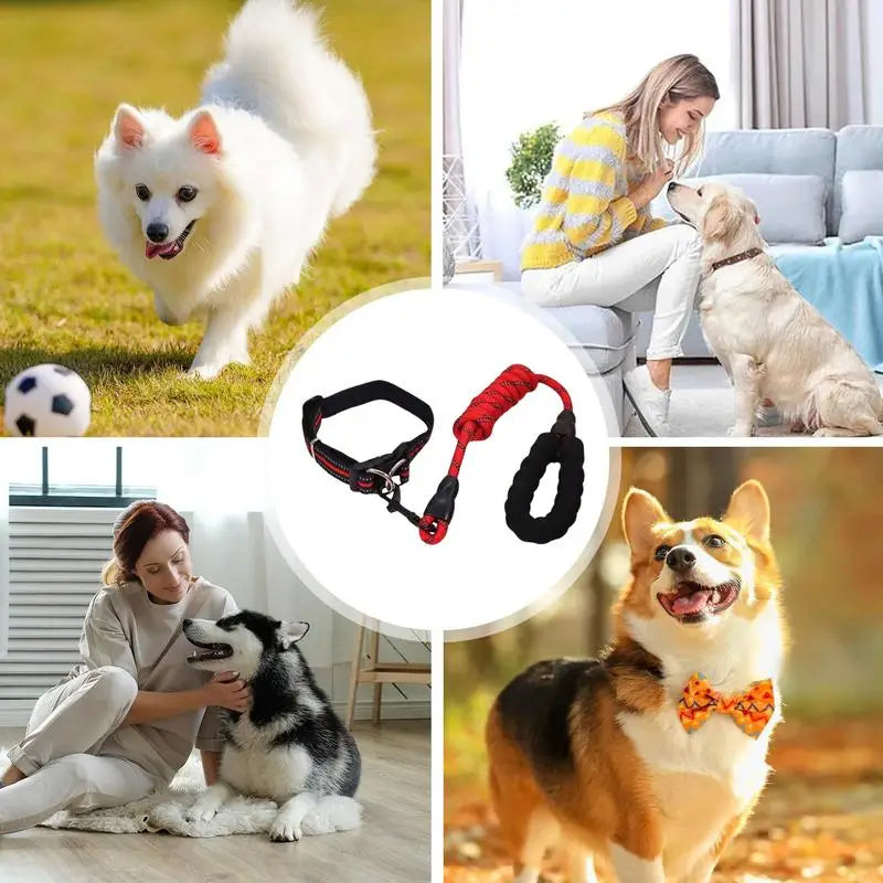 Reflective dog collar – For walks even in the shade