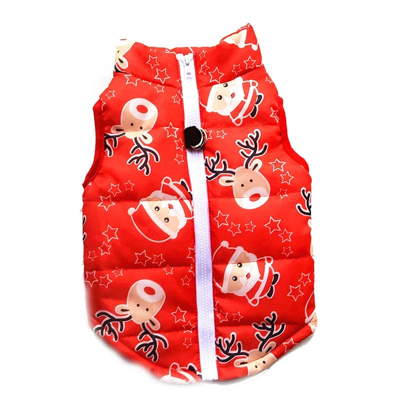 Winter coat for small dogs – Christmas special, warm and practical