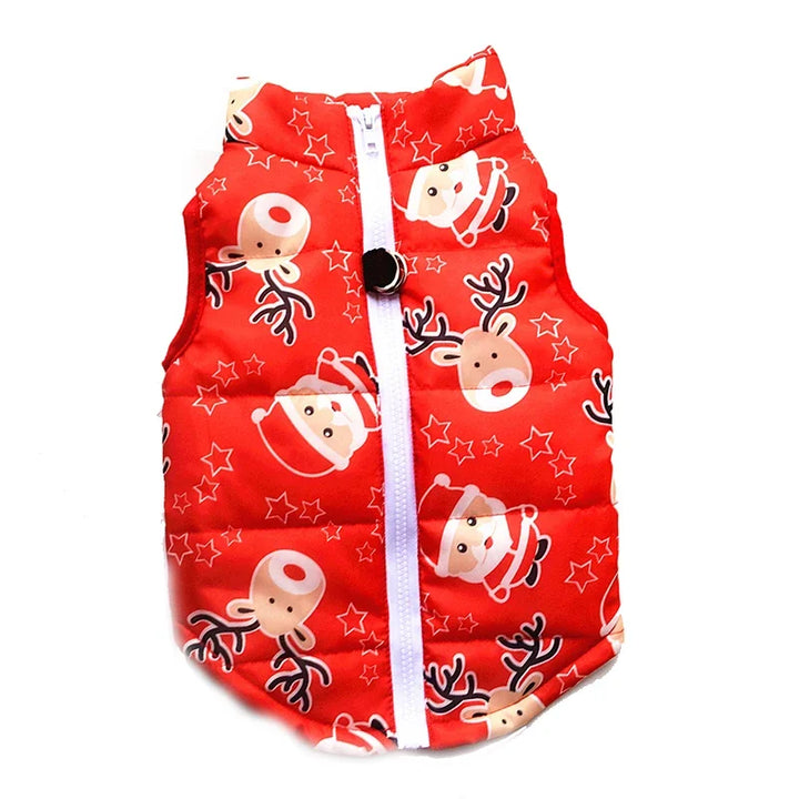 Winter coat for small dogs – Christmas special, warm and practical