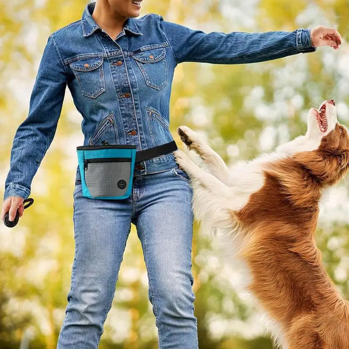 Dog Treat Bag: Train Better, React Fast