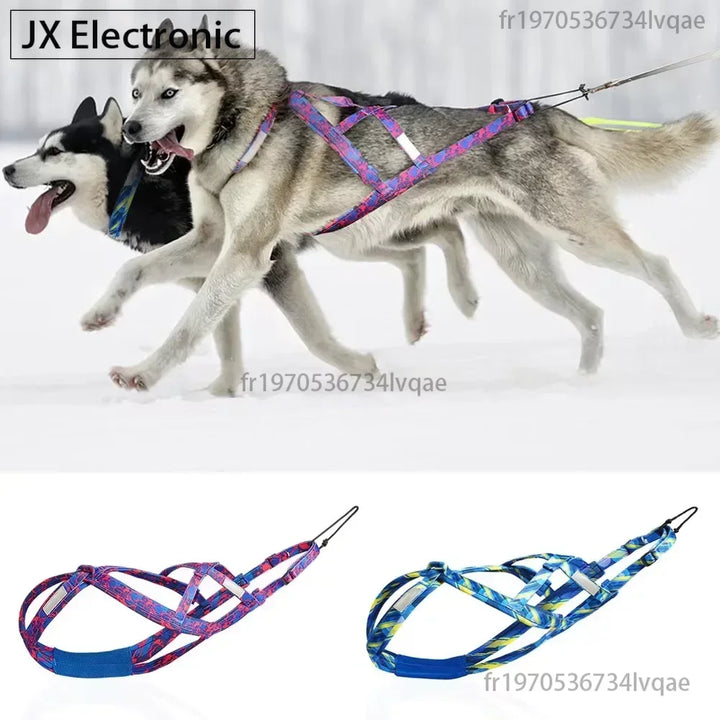 Free and powerful athletic dog pull harness