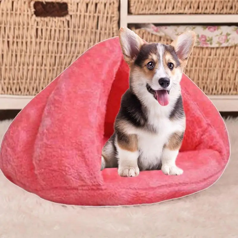 Heated cat house – Its cold-proof cocoon, right next to your love