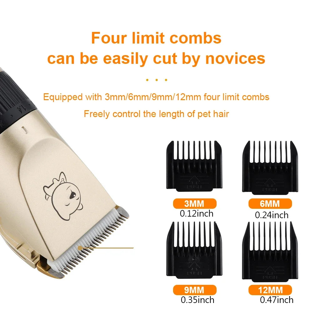 Fearless grooming for sensitive dogs &amp; cats