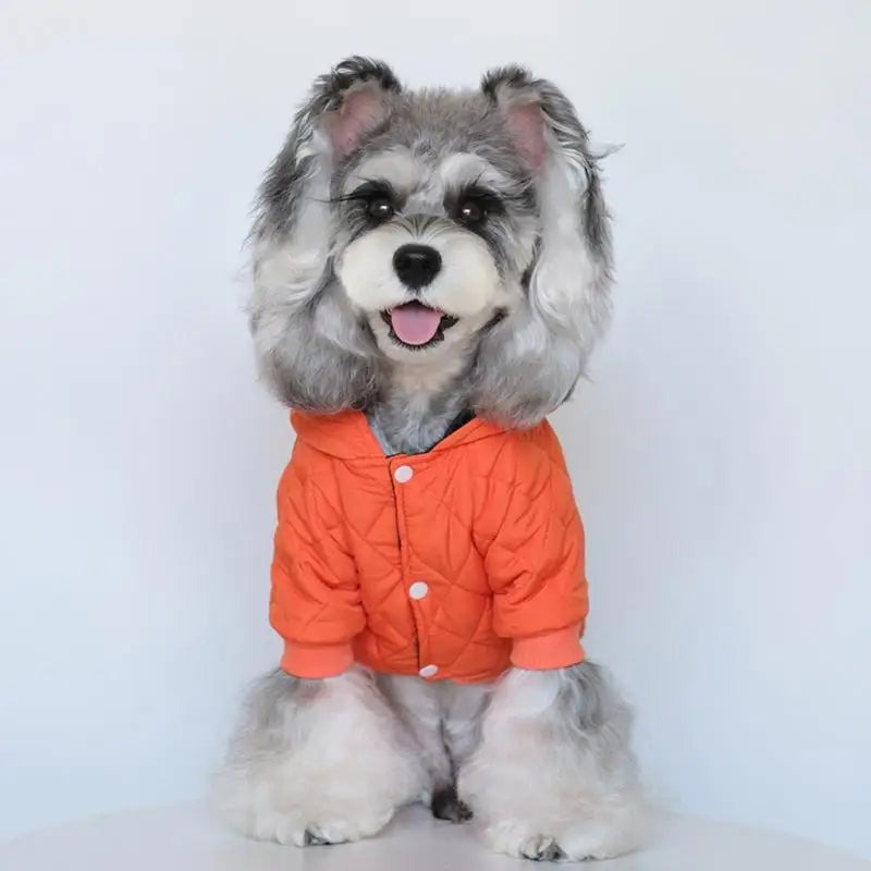 Warm coat with reflective stripes for brave dogs