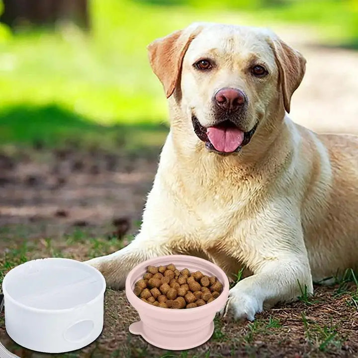 3-in-1 Dog Bowl – Compact, Clean, Always Ready