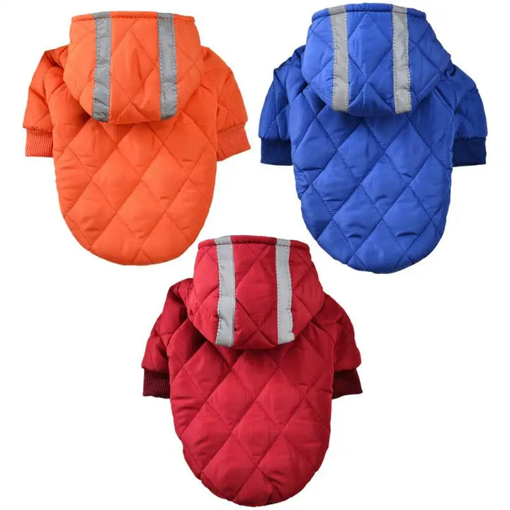 Warm coat with reflective stripes for brave dogs