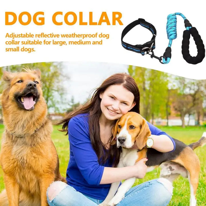 Reflective dog collar – For walks even in the shade
