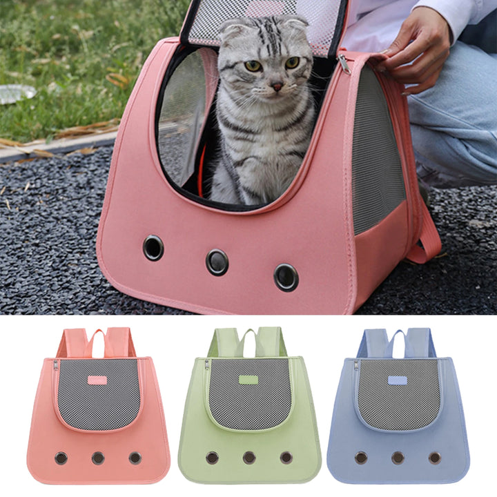 Dog and cat carrier bag: freedom and tenderness on walks