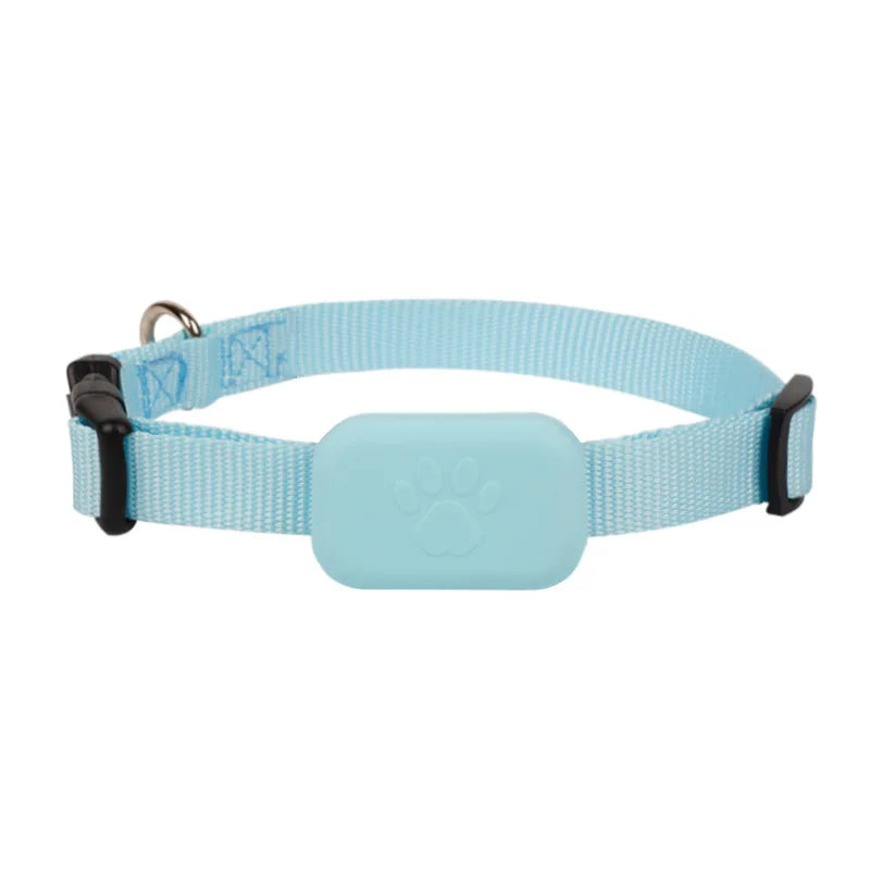 GPS collar for dogs and cats: visible, localizable, and always findable