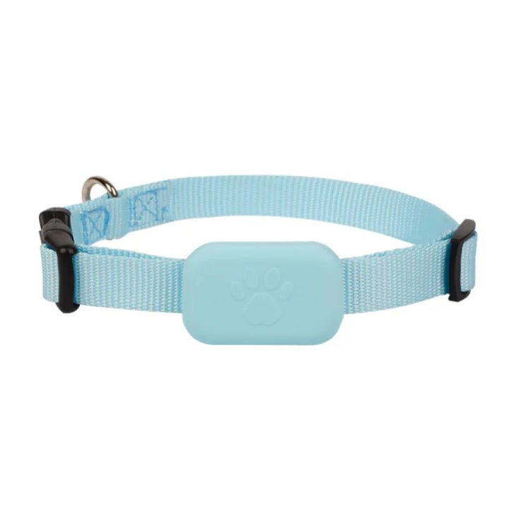 GPS collar for dogs and cats: visible, localizable, and always findable