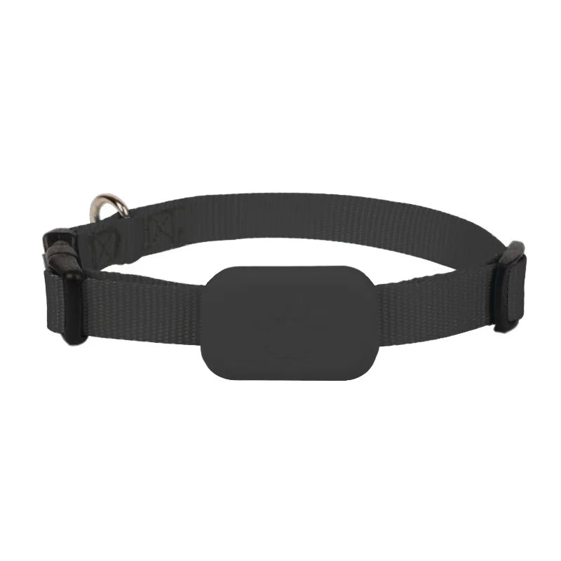 GPS collar for dogs and cats: visible, localizable, and always findable