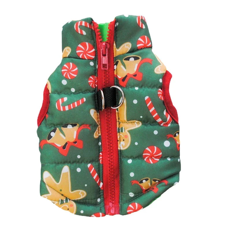 Winter coat for small dogs – Christmas special, warm and practical