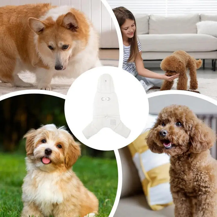 Stylish and protected waterproof hooded dog coat