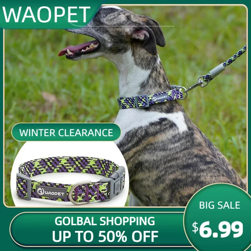 Reflective dog &amp; cat collar: visible at night, discreet in everyday life
