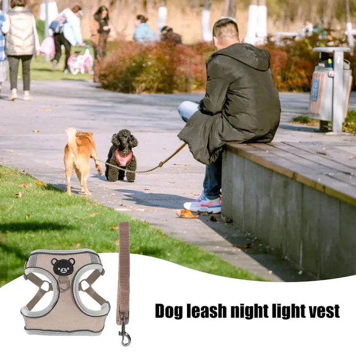 Luminous harness for dogs and cats, visible at night without stress