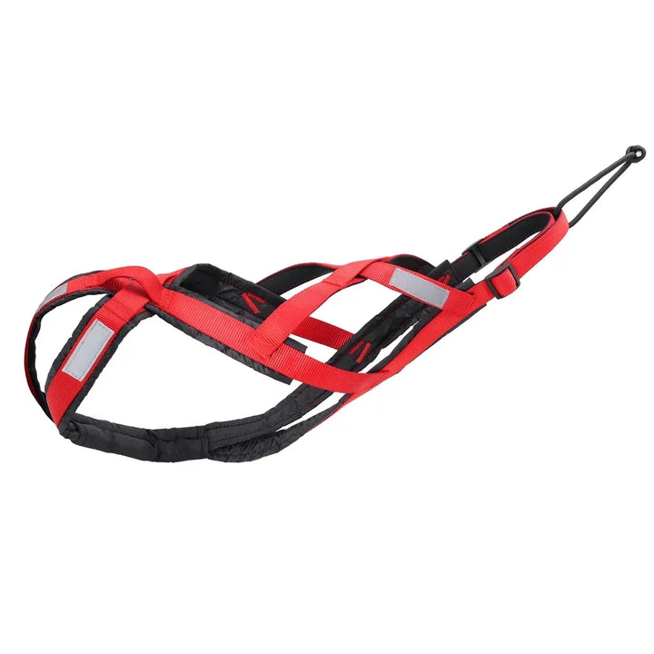 Free and powerful athletic dog pull harness