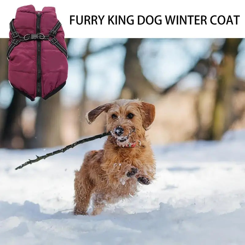Warm coat with integrated harness – Peaceful winter for your dog