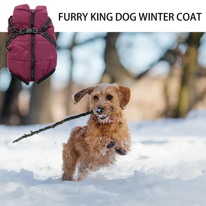 Warm coat with integrated harness – Peaceful winter for your dog