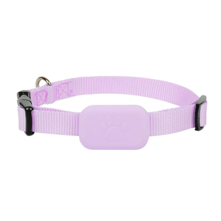 GPS collar for dogs and cats: visible, localizable, and always findable