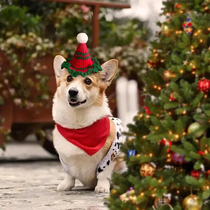 Cat or Dog Christmas Hat - The Little Detail That Touches Hearts