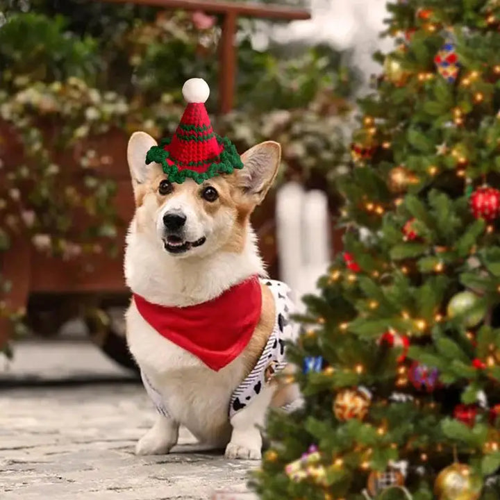 Cat or Dog Christmas Hat - The Little Detail That Touches Hearts