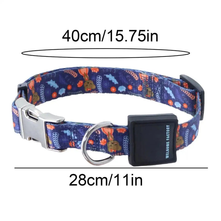 Powerful Dog Collar – Strength, Comfort, Bond Respect