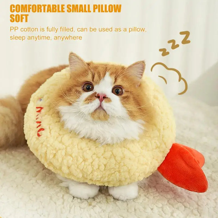 Post-operative cat collar: softness, comfort and protection