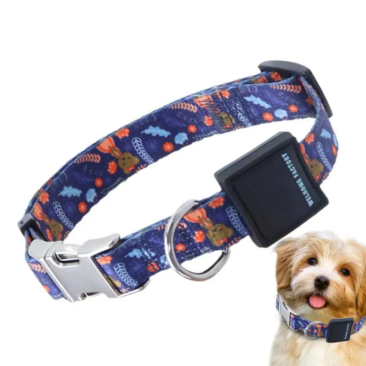 Powerful Dog Collar – Strength, Comfort, Bond Respect