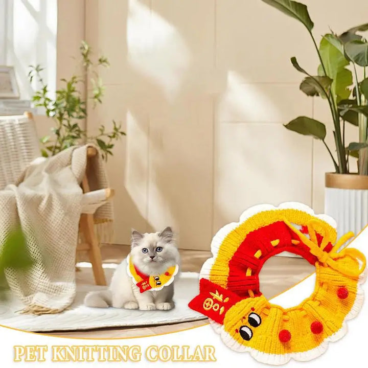 Knitted dog and cat collar: a soft and friendly accessory to wear proudly