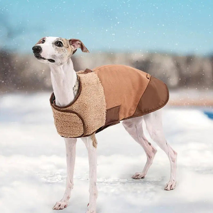 Adjustable winter coat with warm wool lining