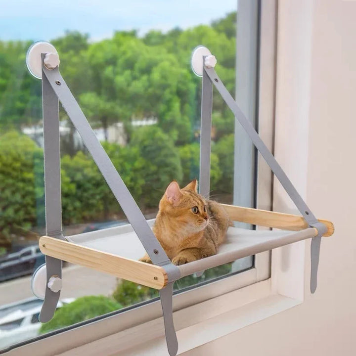 Cat hammock bed: its secret high corner