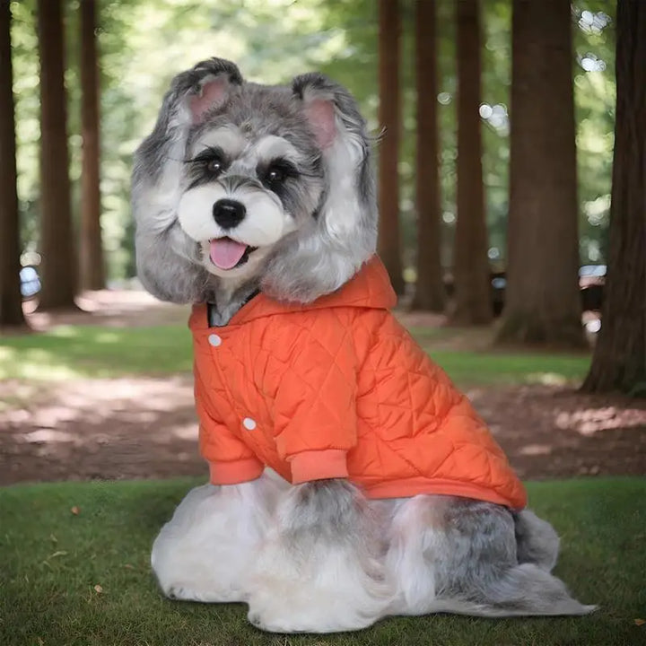 Warm coat with reflective stripes for brave dogs