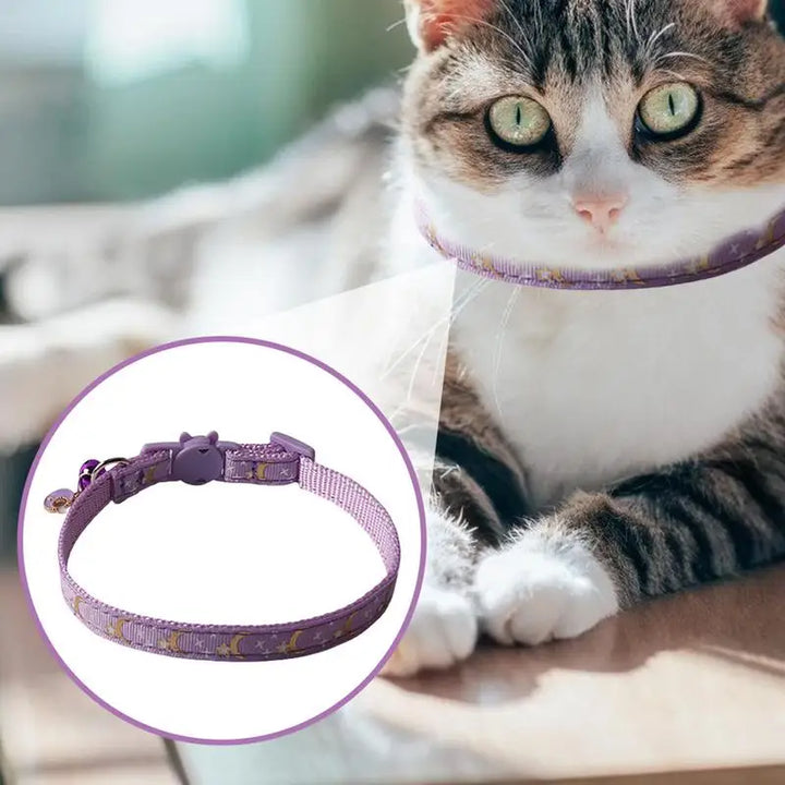 Moon &amp; Star Cat Collar: Sacred Bond &amp; Celestial Style