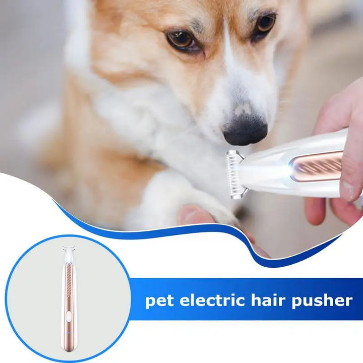 Dog &amp; cat paw clippers: gentle, LED, stress-free