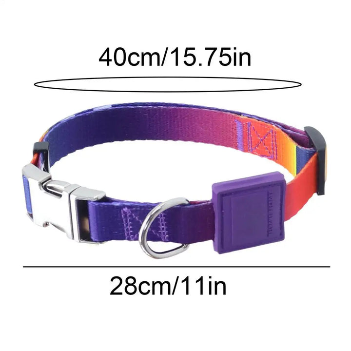 Powerful Dog Collar – Strength, Comfort, Bond Respect