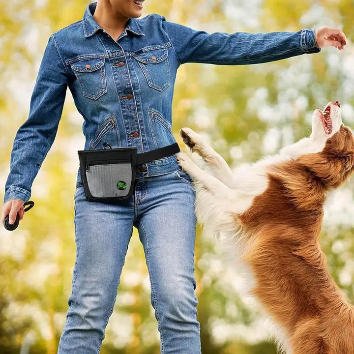 Dog Treat Bag: Train Better, React Fast