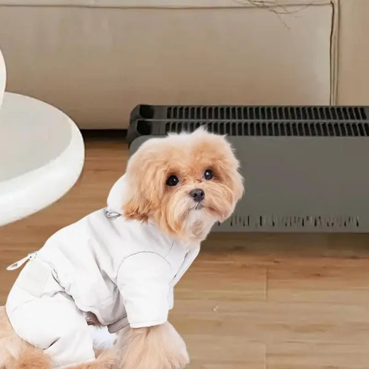 Stylish and protected waterproof hooded dog coat