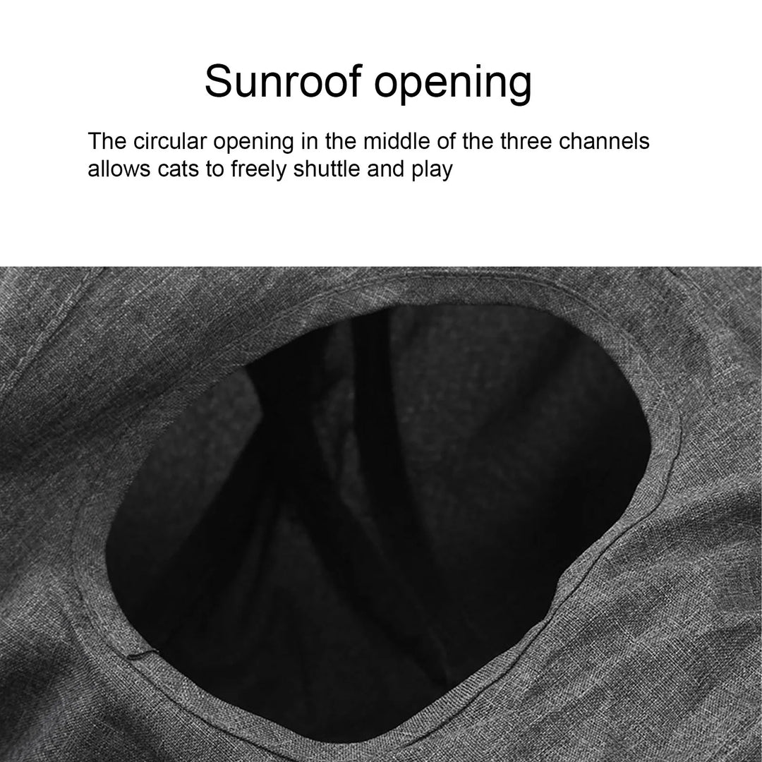 3-way cat tunnel: a world of agility all its own
