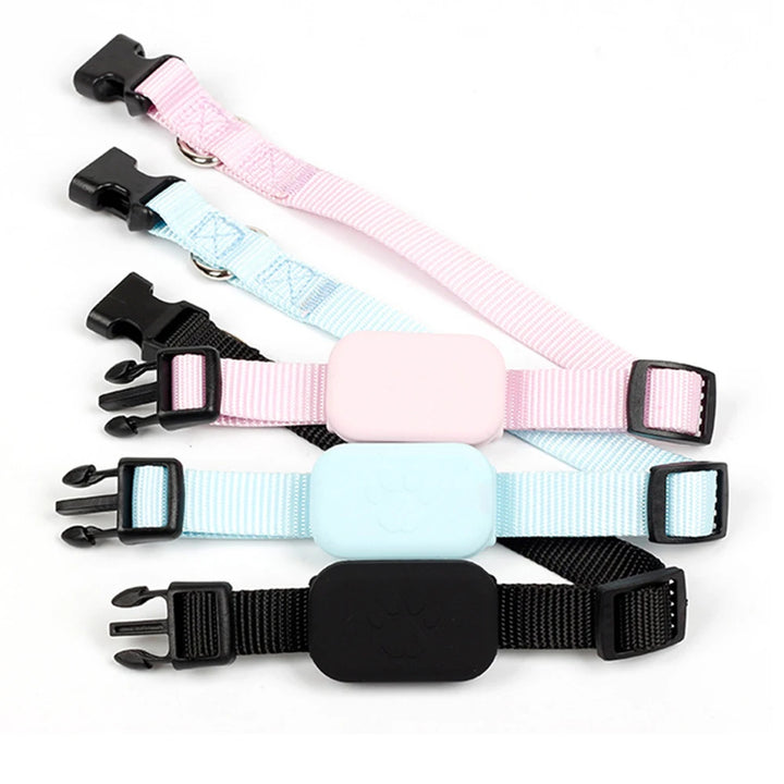 GPS collar for dogs and cats: visible, localizable, and always findable