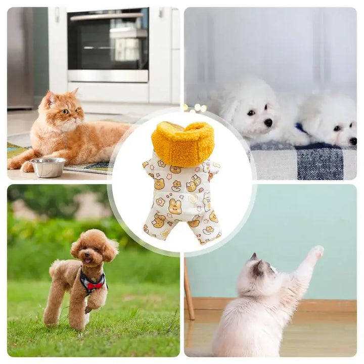 Winter Jacket for Dogs or Cats – Comfort, Style &amp; Protection