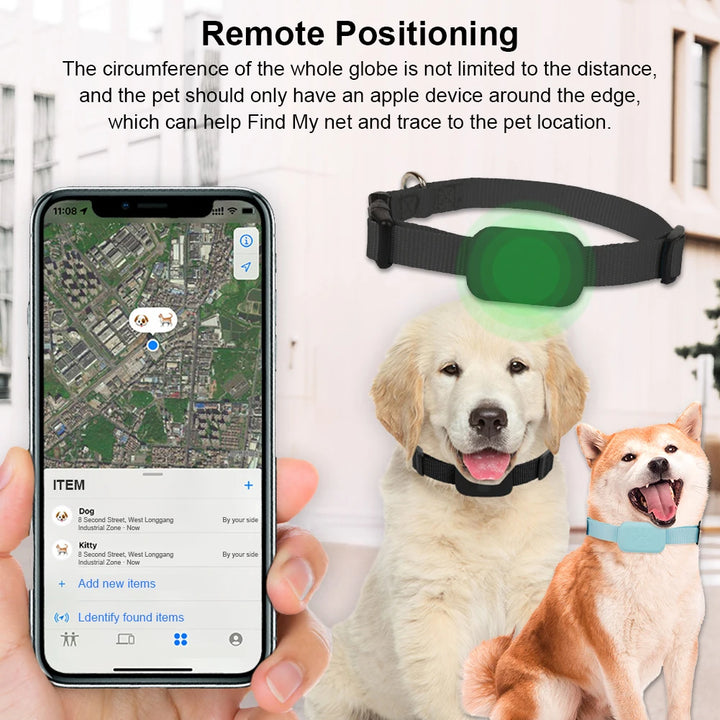 GPS collar for dogs and cats: visible, localizable, and always findable