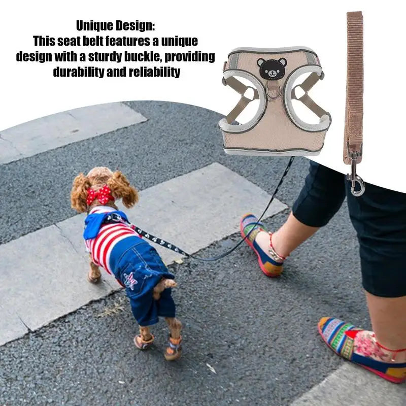 Luminous harness for dogs and cats, visible at night without stress