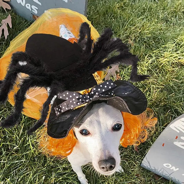 Spider Halloween Costume – For Cat, Puppy or Small Dog