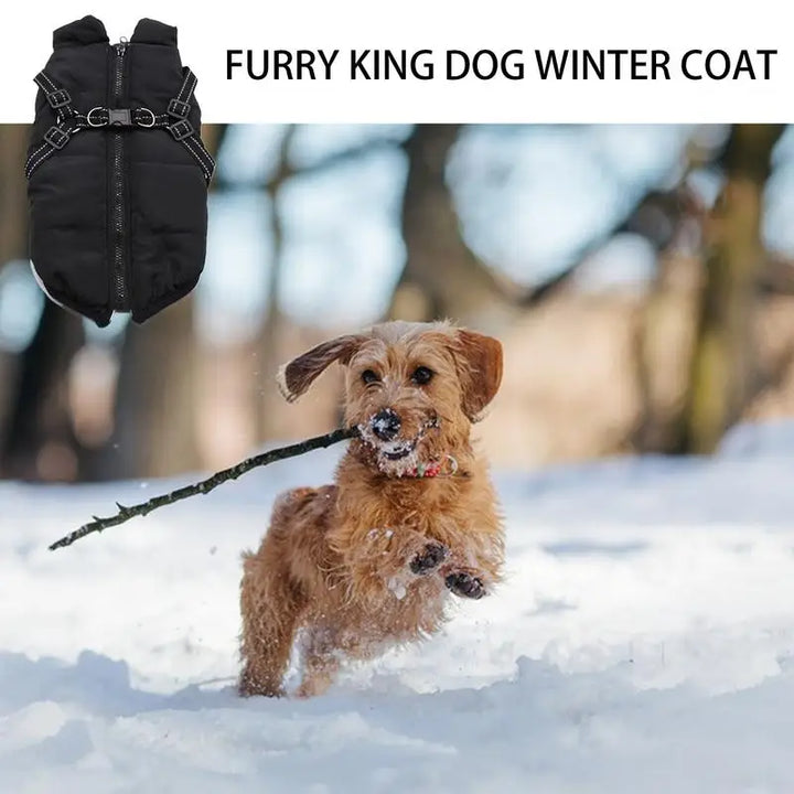 Warm coat with integrated harness – Peaceful winter for your dog