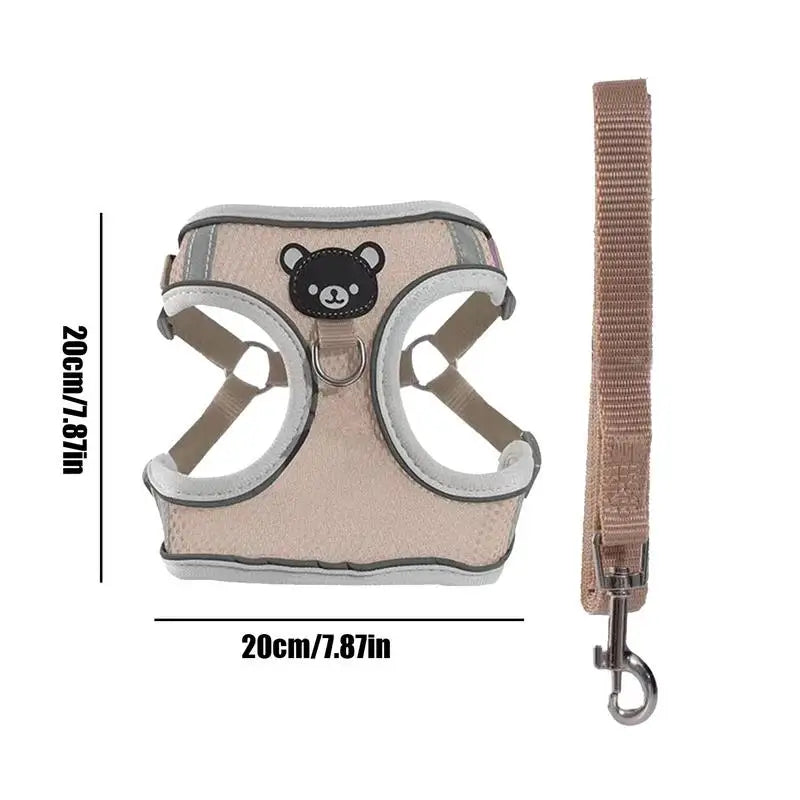 Luminous harness for dogs and cats, visible at night without stress