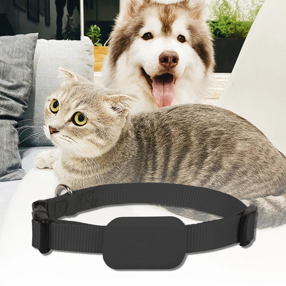 GPS collar for dogs and cats: visible, localizable, and always findable