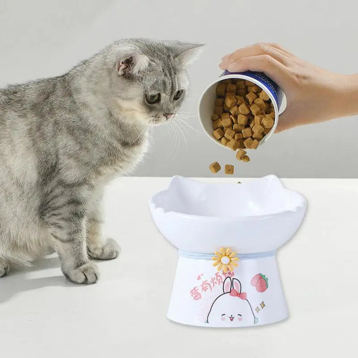 Raised Cat Bowl – Pain-Free Eating Every Day